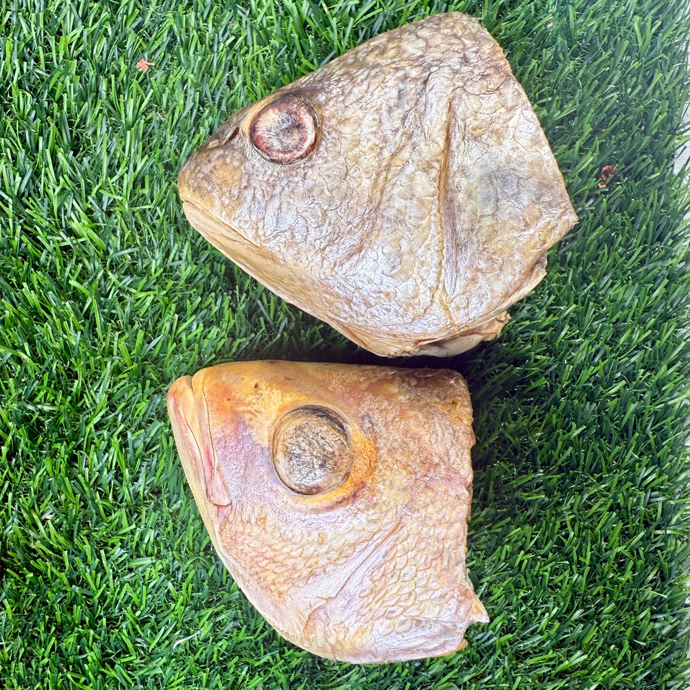 Fish Head Chew