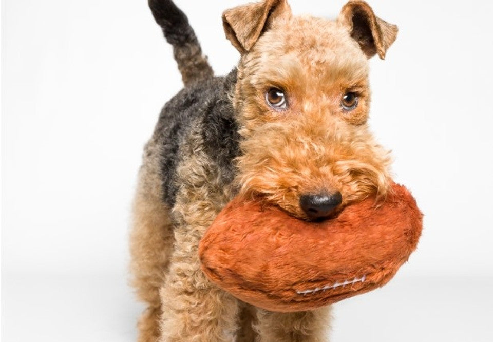 Football Plush Toy