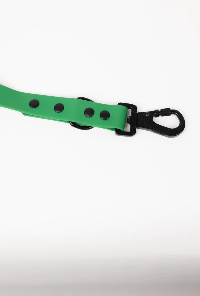 Green Biothane Leash