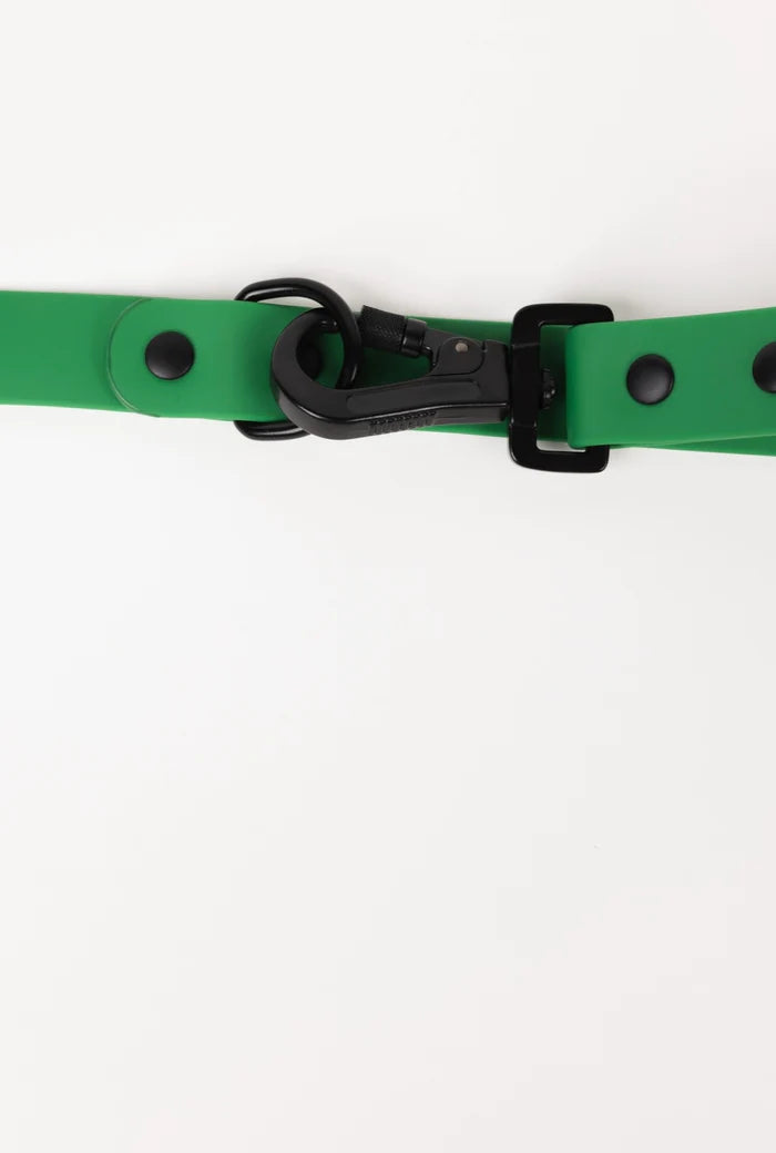 Green Biothane Leash
