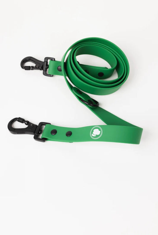 Green Biothane Leash
