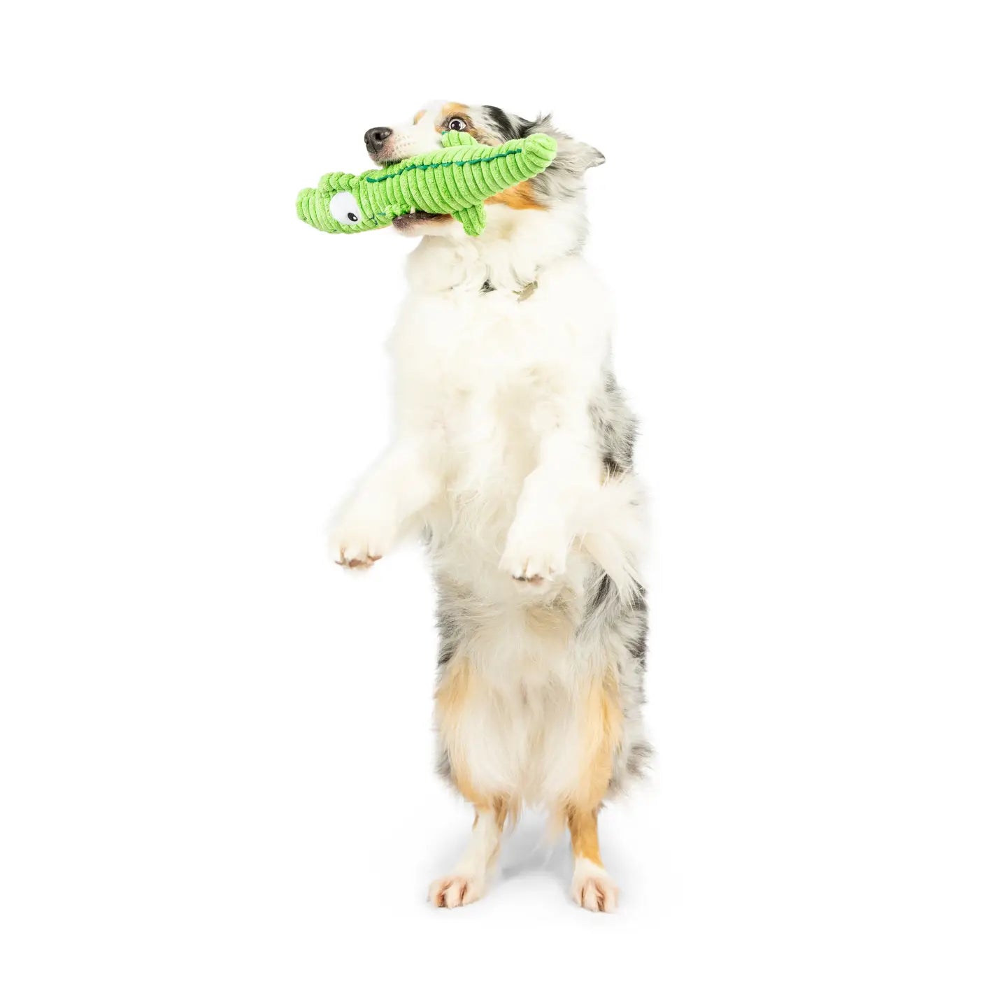Fetchies Gus Gator Dog Toy