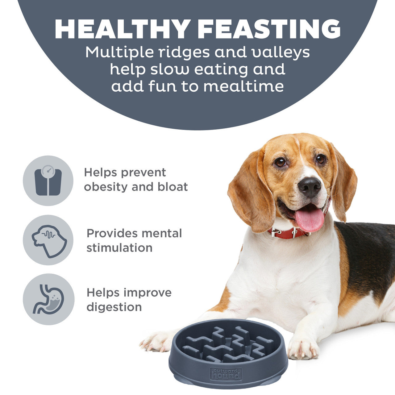 Outward Hound Carbon Notch Fun Feeder Slo-Bowl