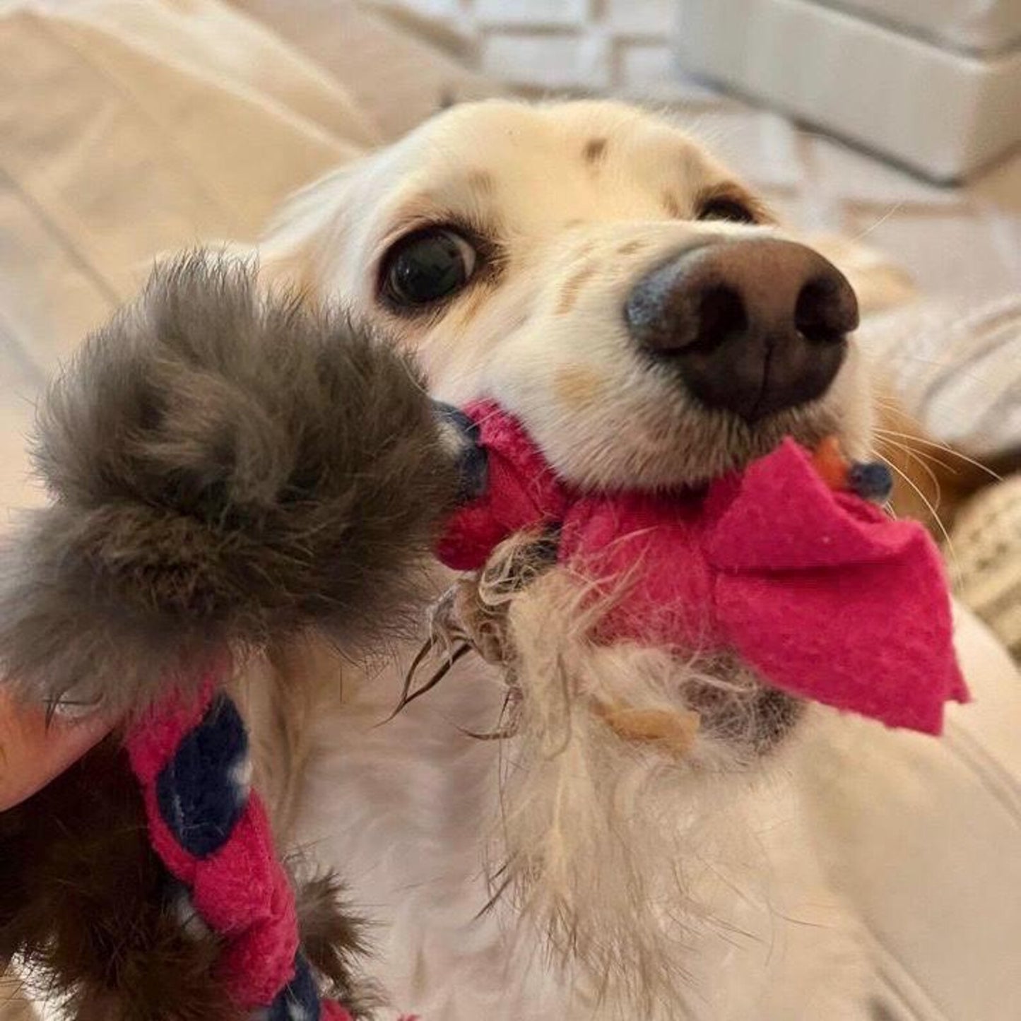 Braided Fleece Toy with Rabbit Hide- for Dog or Cat