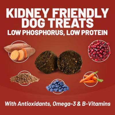 Dave's Pet Food Renal-Friendly Soft & Chewy Dog Treats