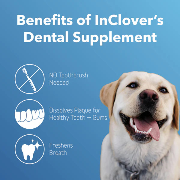 inClover Dog & Cat Biobrilliant Dental