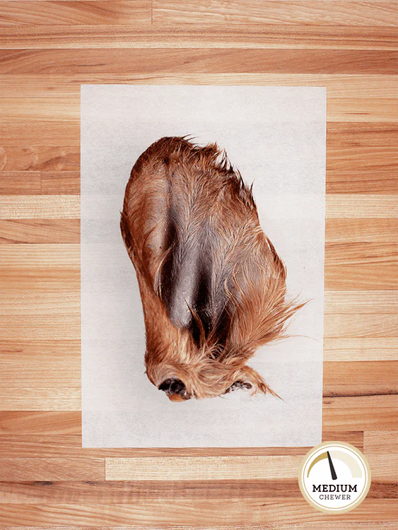 Hairy Beef Ear