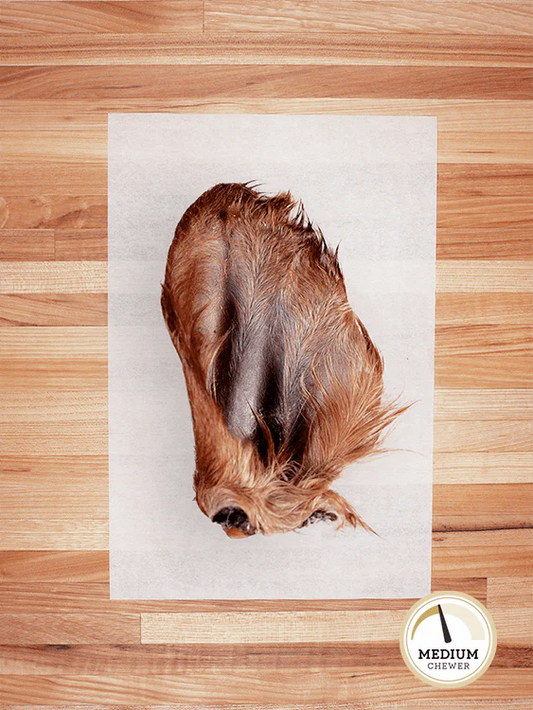 Hairy Beef Ear