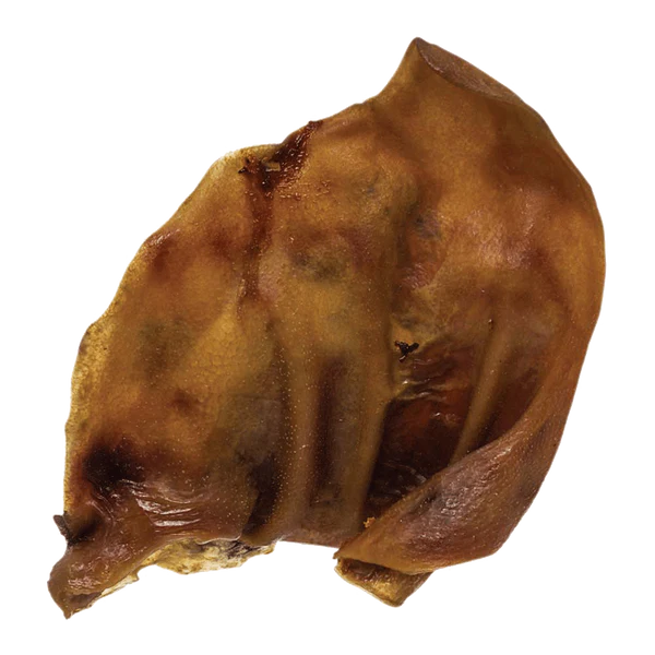 Naked Pig Ear