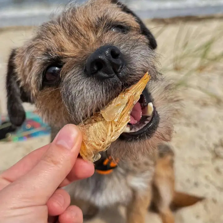 Prawn Freeze Dried Chews