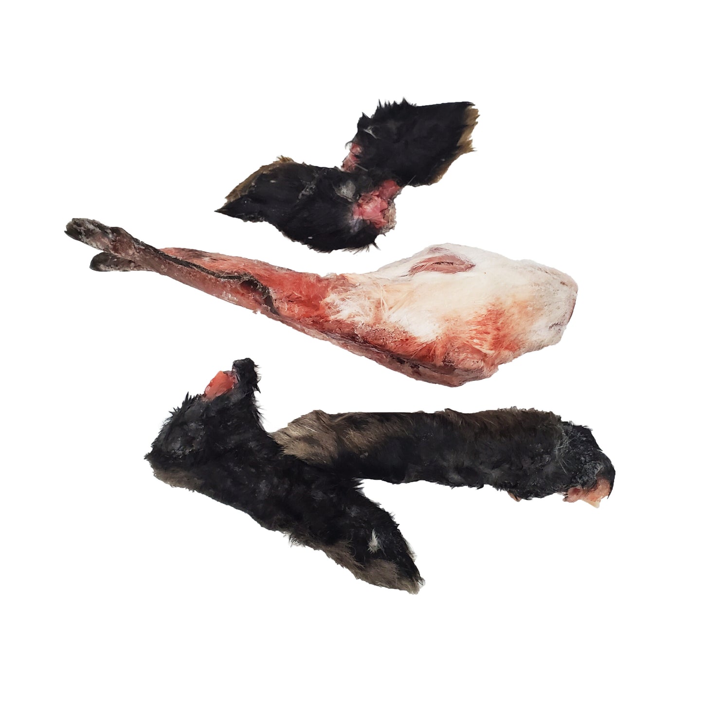Raw Hare Head & Hoppers | Savage Cat