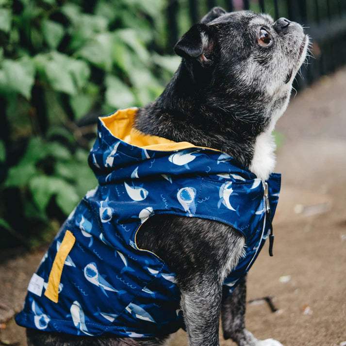 Shark Attack Reversible Raincoat