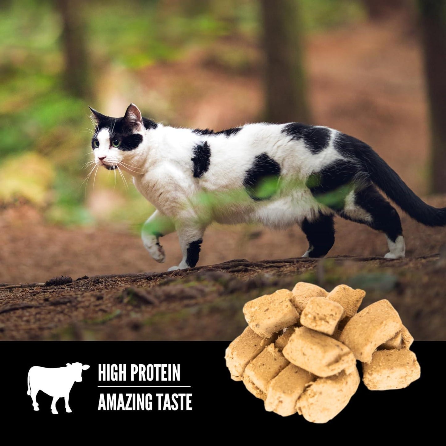 Orijen Regional Red Freeze-Dried Cat Treats