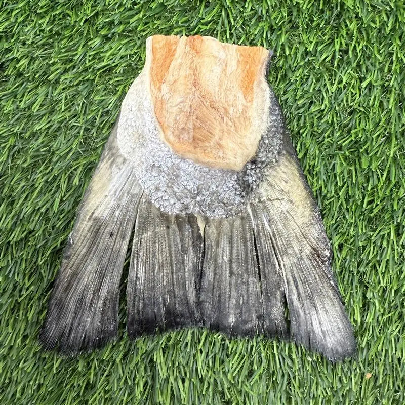 Salmon Tails Freeze Dried Chews