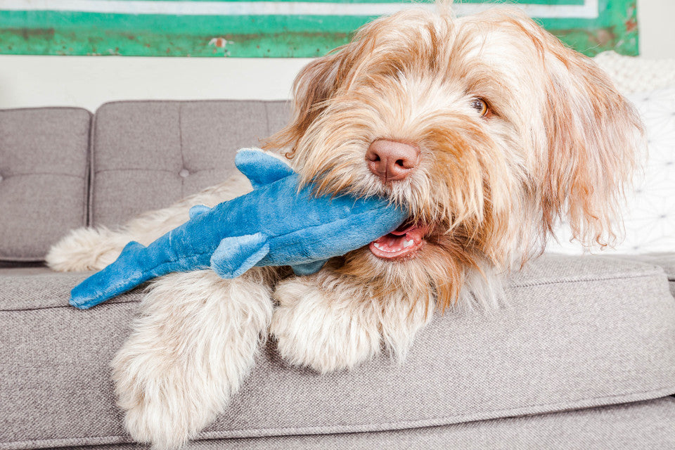 Tank Shark Plush Toy