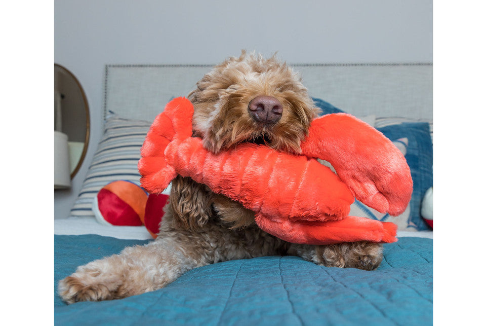 Manny Lobster Plush Toy