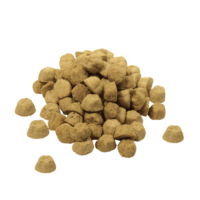 Lotus Lamb Recipe Soft Baked Dog Treats