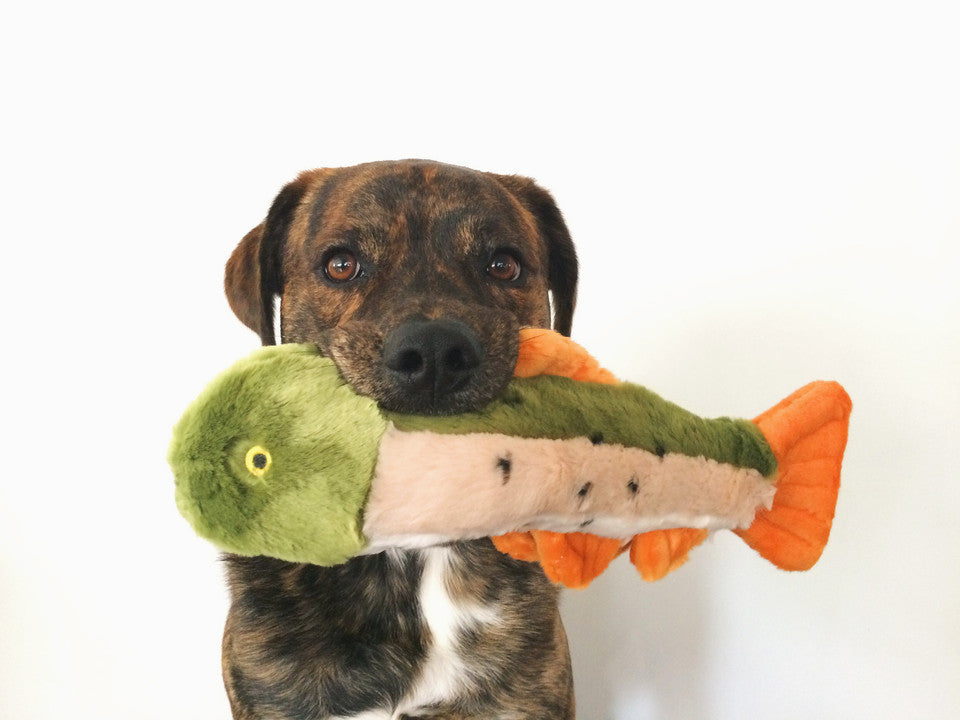 Ruby Rainbow Trout Plush Toy