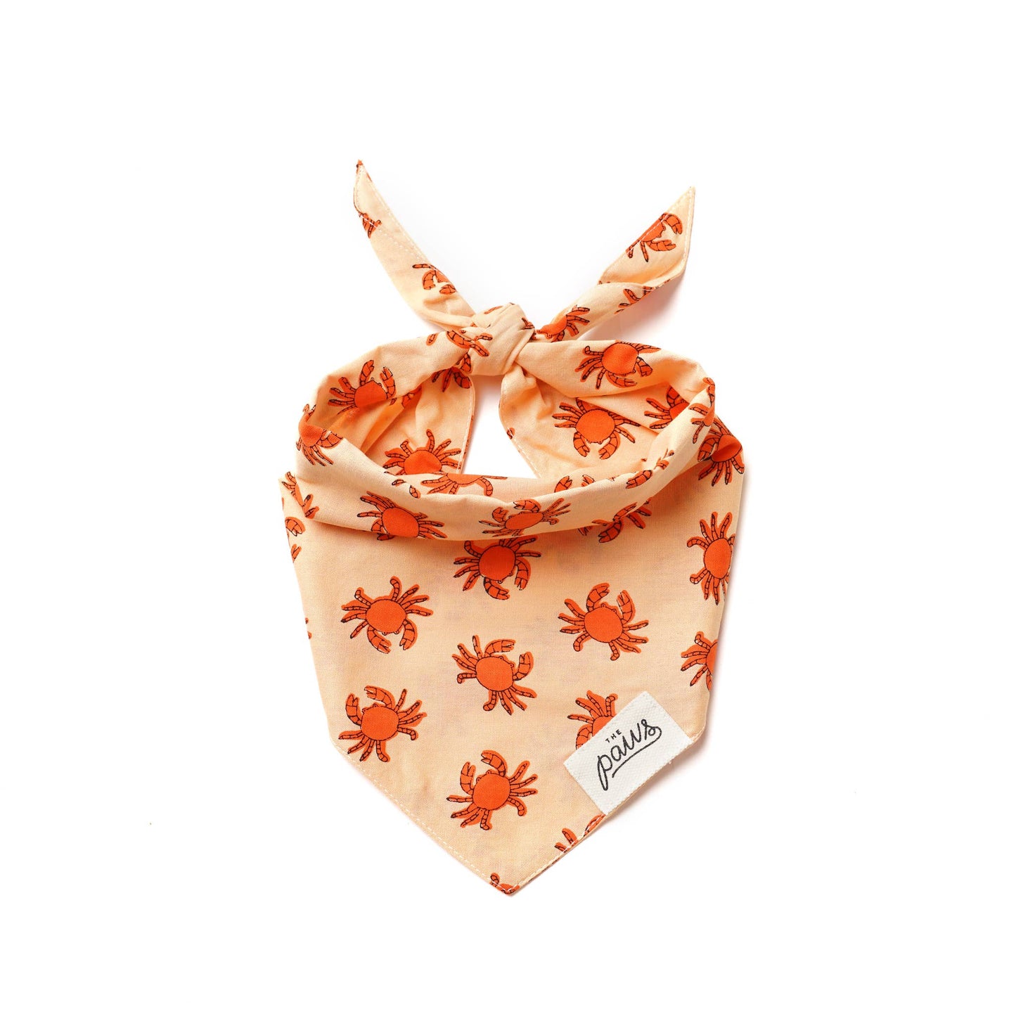 Banks Dog Bandana | The Paws