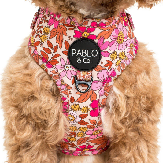 Pink Posie's Adjustable Harness