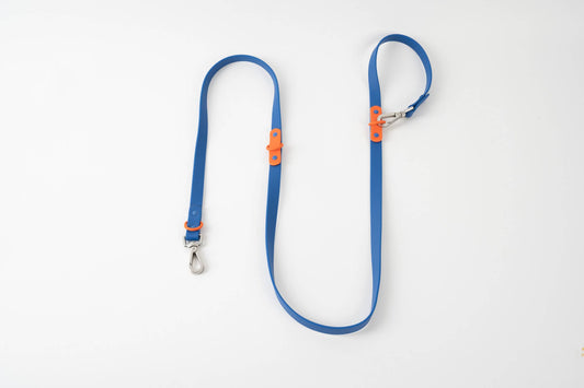 The Fritz Leash | Blue
