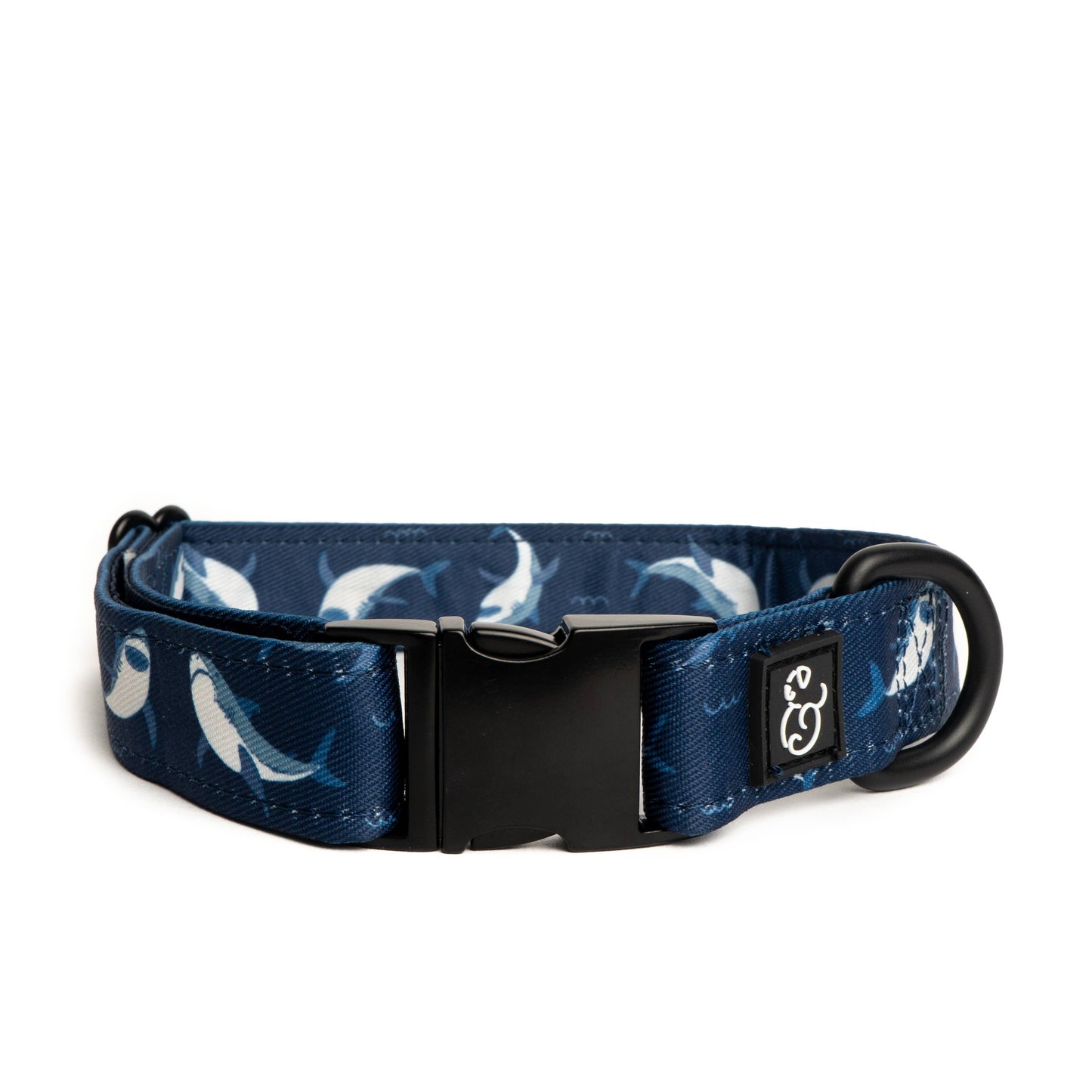 Shark Attack Collar | Lucy & Co.