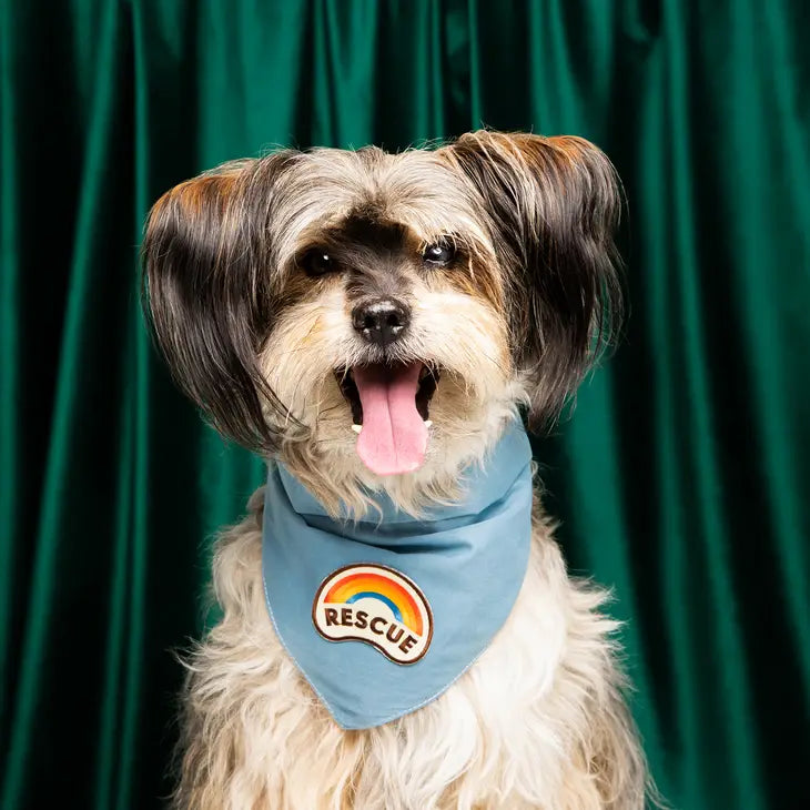 Rescue Bandana Patch | Scout's Honour
