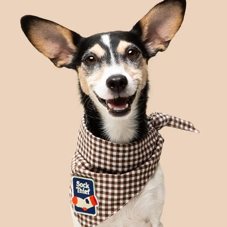 Sock Thief Bandana Patch | Scout's Honour