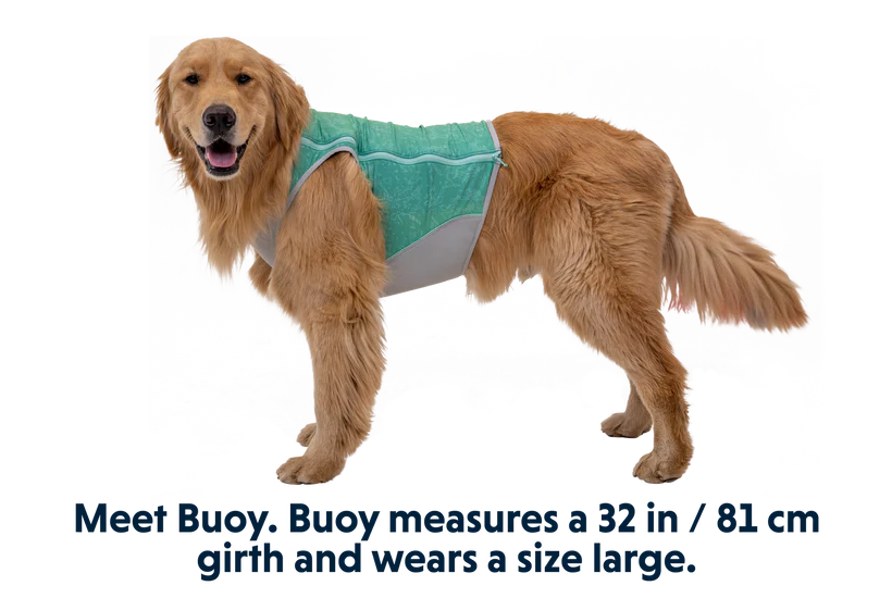Swamp Cooler Cooling Dog Vest | Ruffwear