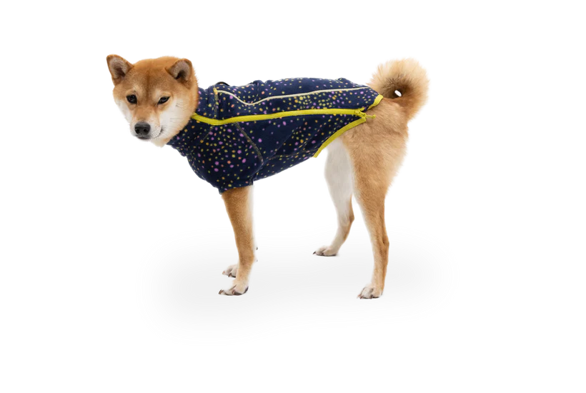 Climate Changer Dog Fleece Galaxy | Ruffwear