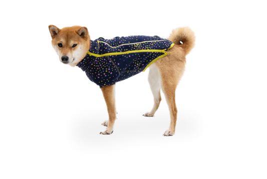 Climate Changer Dog Fleece Galaxy | Ruffwear