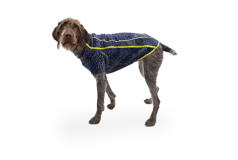 Climate Changer Dog Fleece Galaxy | Ruffwear