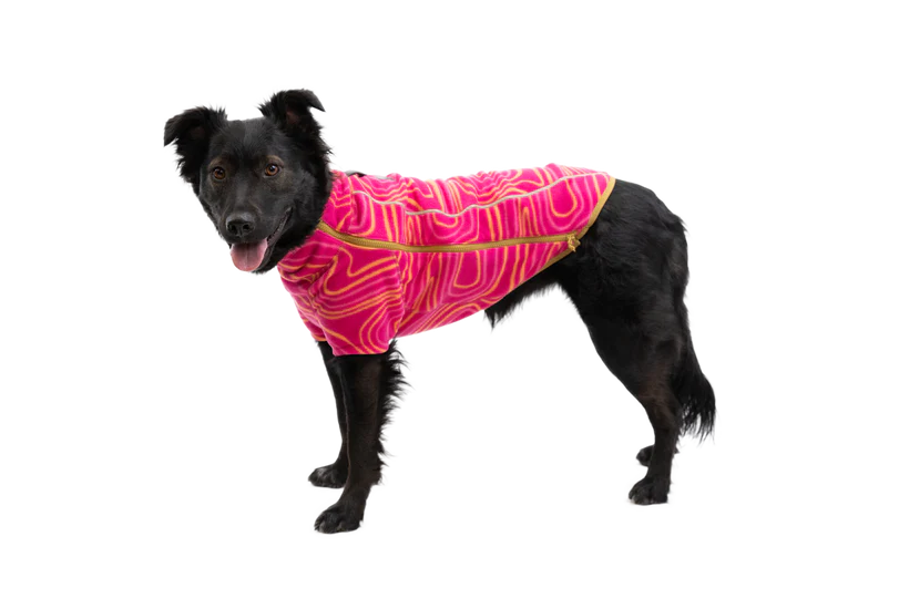 Climate Changer Dog Fleece Strata | Ruffwear