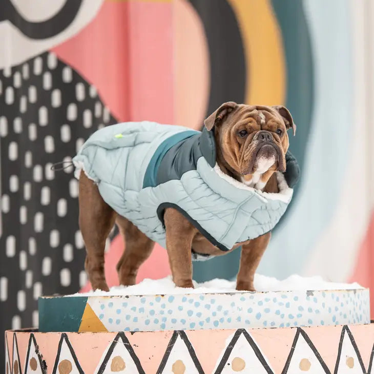 Light Blue GF Pet Camplife Puffer Coat