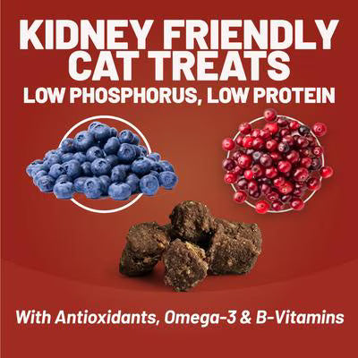 Dave's Pet Food Renal-Friendly Soft & Chewy Cat Treats