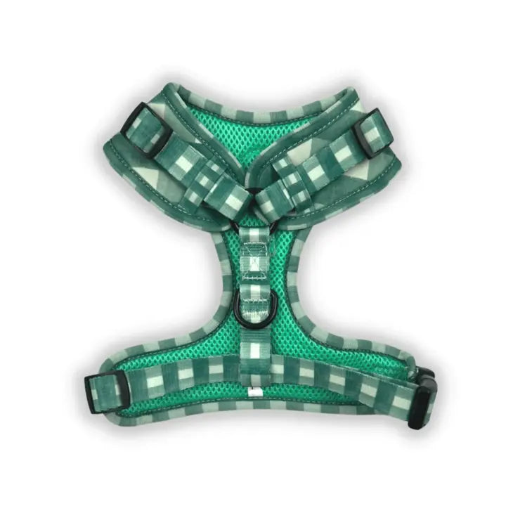Pups Picnic Harness by Big Dog & Skippy