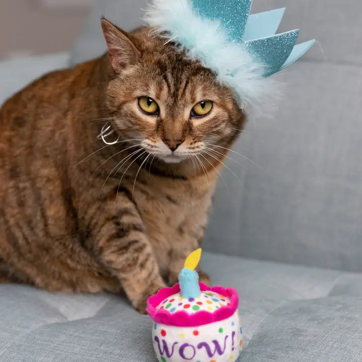 Blue Party Crown