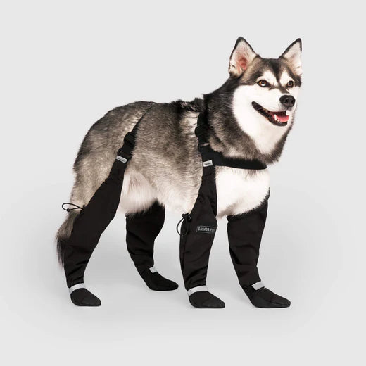 Black Suspender Boots- Dog Boots | Canada Pooch