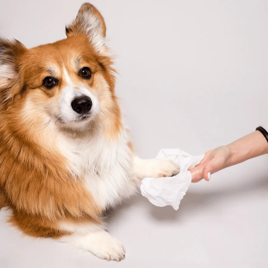 Natural Dog Company Grooming Wipes