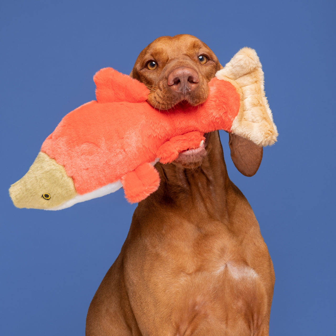Cedar Salmon Plush Toy