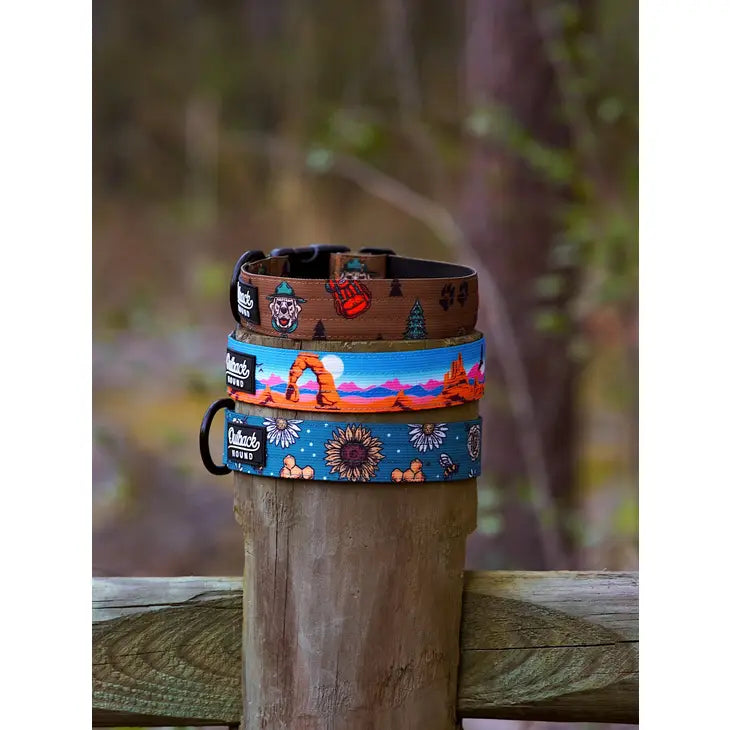 Outback Hound Bee's Knees Teal Trail Collar