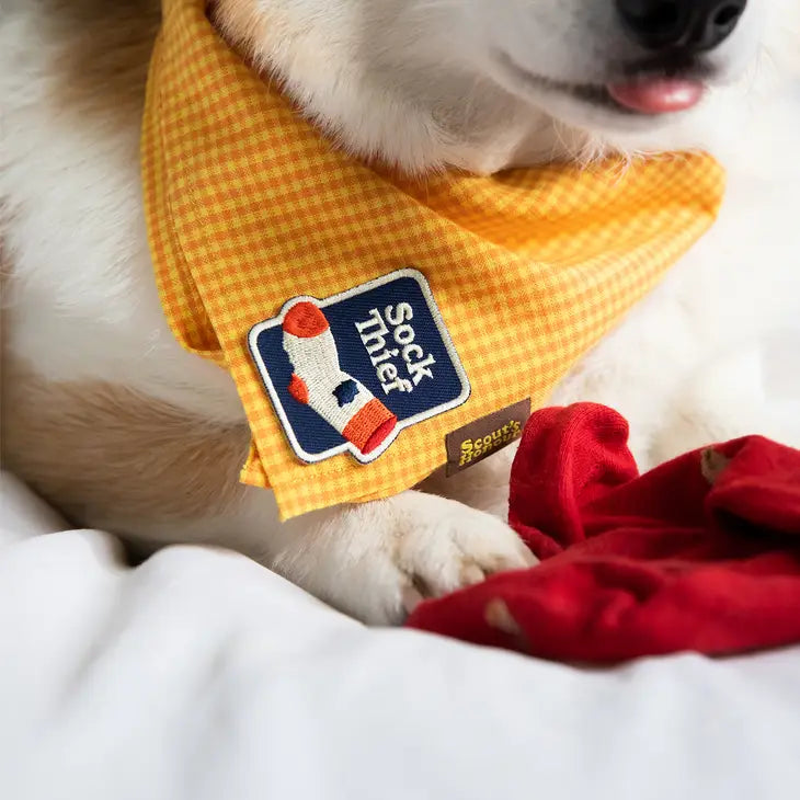 Sock Thief Bandana Patch | Scout's Honour