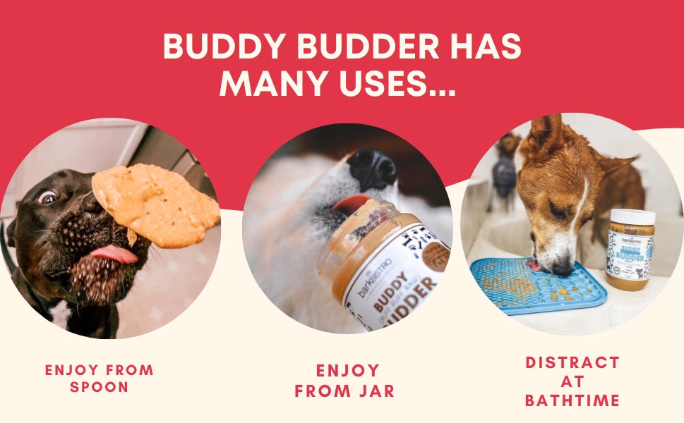 Buddy Budder Bangin' Bacon Peanut Butter for Dogs
