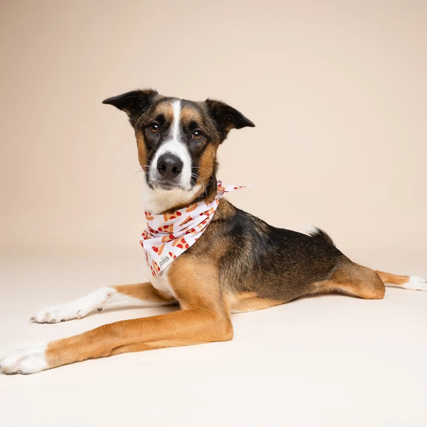 Pizza Dog Bandana