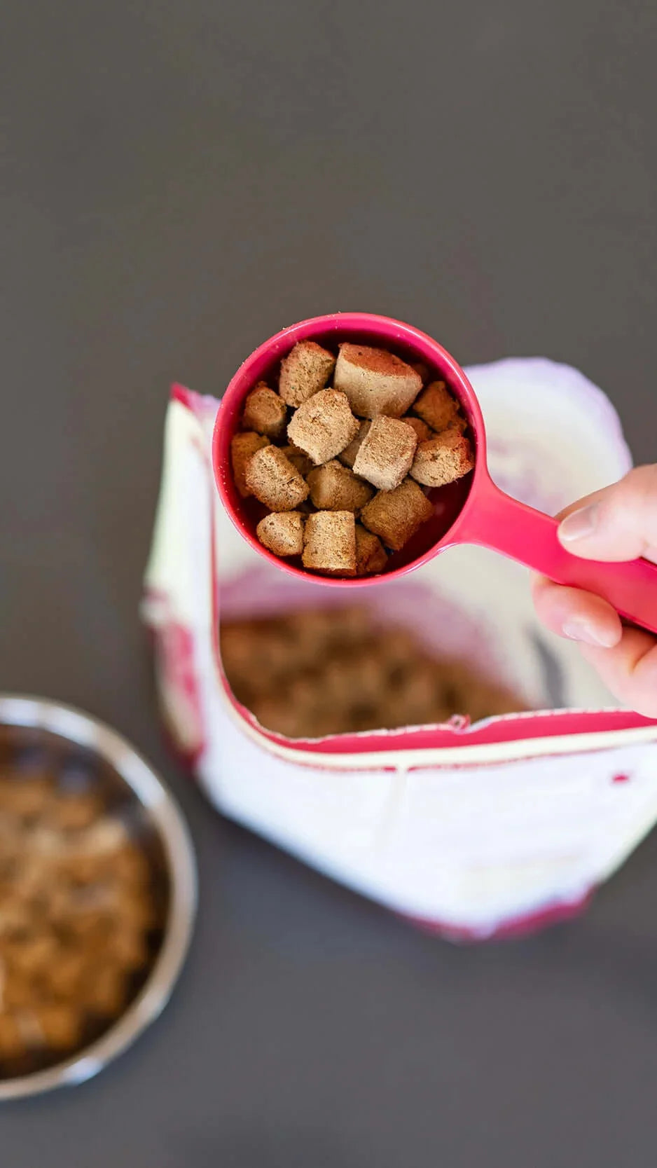 Messy Mutts Dog Food Scoop