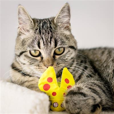Lady Krinkle Bug Cat Toy