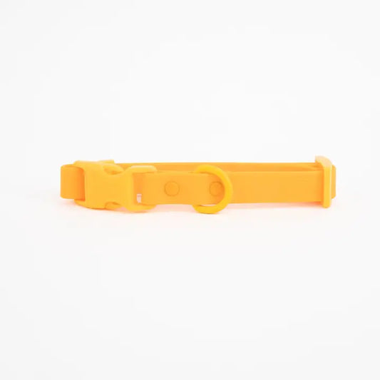 The Fritz Collar - Durable, Waterproof & Two-Tone | Mango