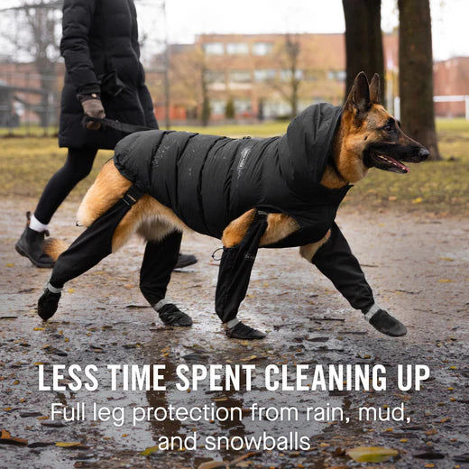 Black Suspender Boots- Dog Boots | Canada Pooch