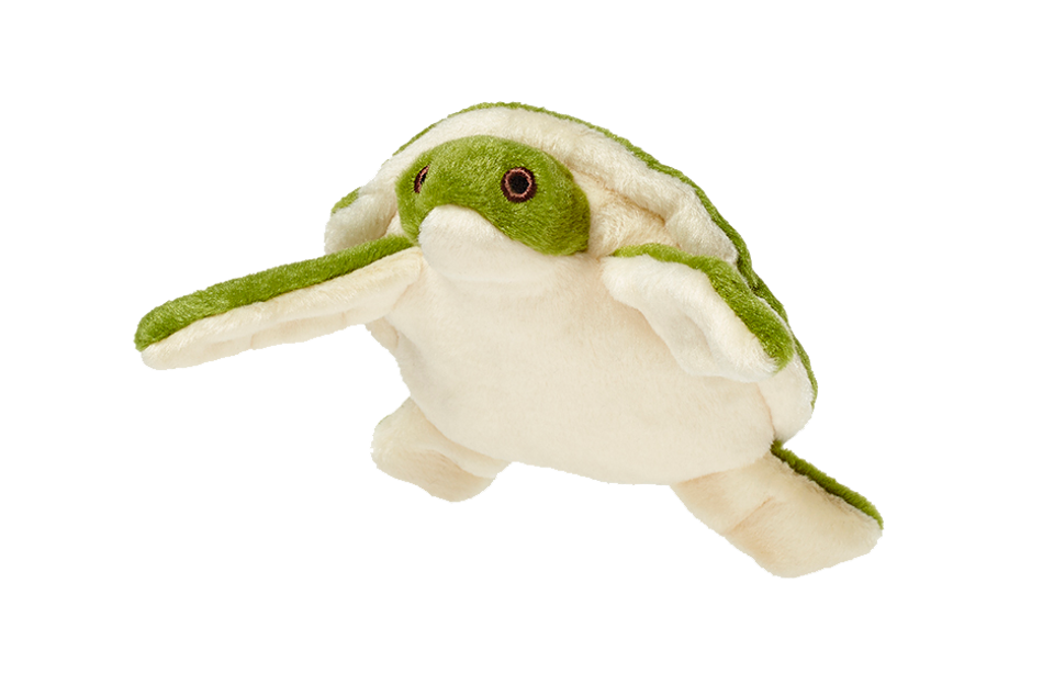 Esmeralda Turtle Plush Toy