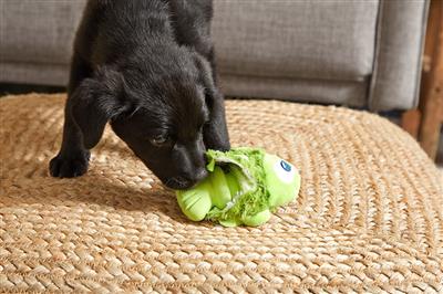 Drop the Bass Super Chewer Toy | BARK